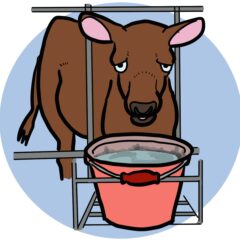 すすき牧場は農業と畜産と食品副産物を循環して健康な牛を育てる。